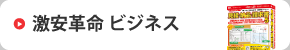 激安革命ビジネス